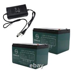 24V Charger 12V 12Ah 6-DZM-12 Battery Kit For Wheelchair Electric Scooter Bike