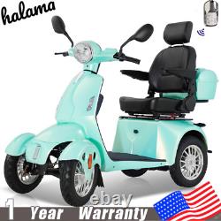 800W 4 Wheel Mobility Scooters 500lbs Reclinable Chair All Terrain Senior Adults