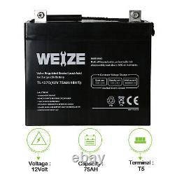 Weize 12v 75ah Deep Cycle Batterie Sla Pour Scooter Mobilité En Fauteuil Roulant Ub12750
